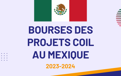Mexique / Appel à candidatures aux bourses des projets d’apprentissages internationaux collaboratifs en ligne (COIL)