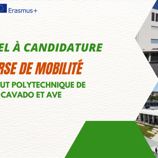 2ème Appel à candidature pour la mobilité Erasmus+ (KA 171) à L’Université Polytechnique de Cávado et Ave Barcelos Portugal