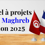 Lancement de l’édition 2025 de l’appel à projets PHC Maghreb